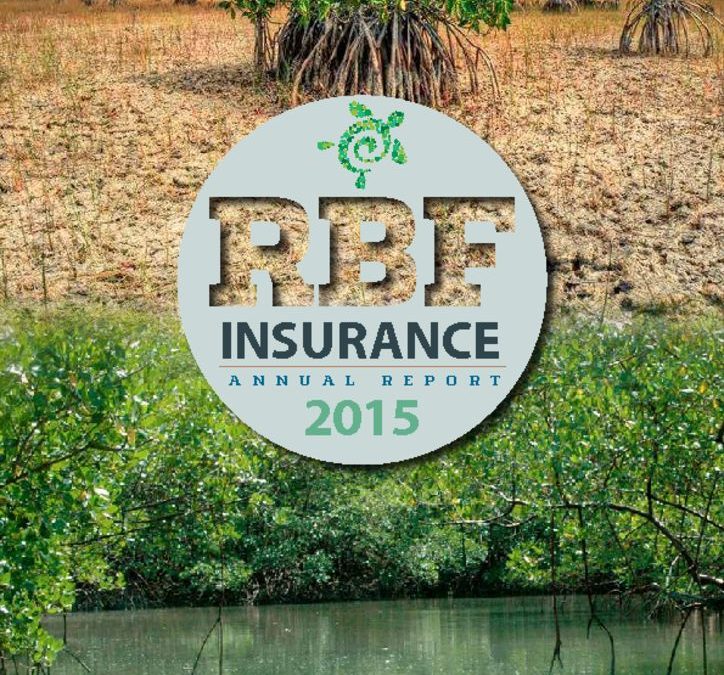 thumbnail of Insurance Annual Report 2015