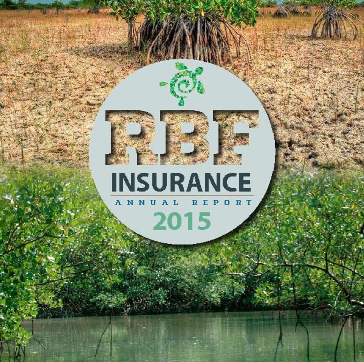 thumbnail of Insurance Annual Report 2015