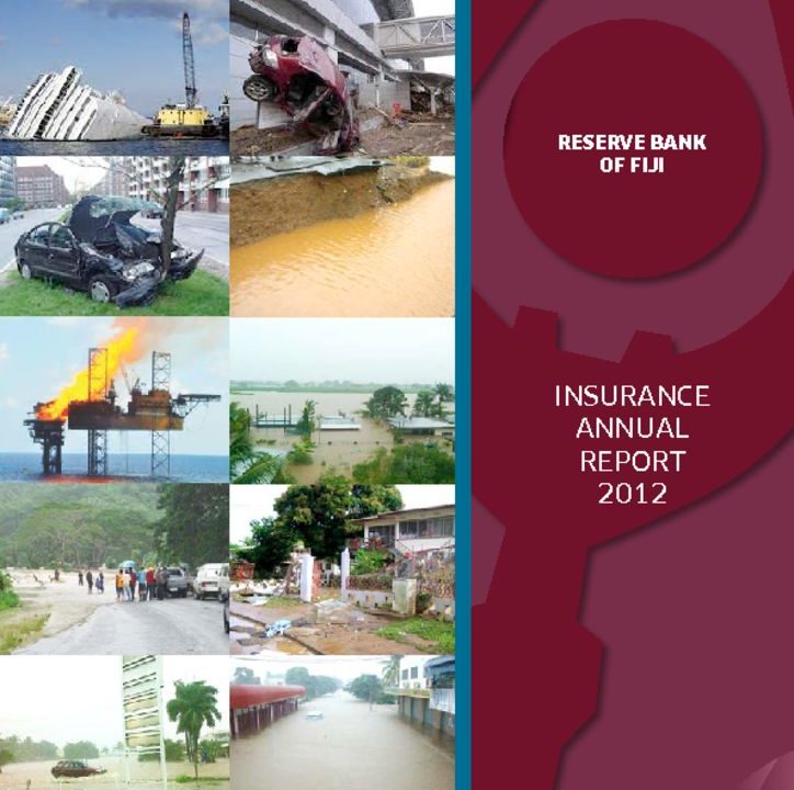 thumbnail of RBF 2012 Insurance Annual Report