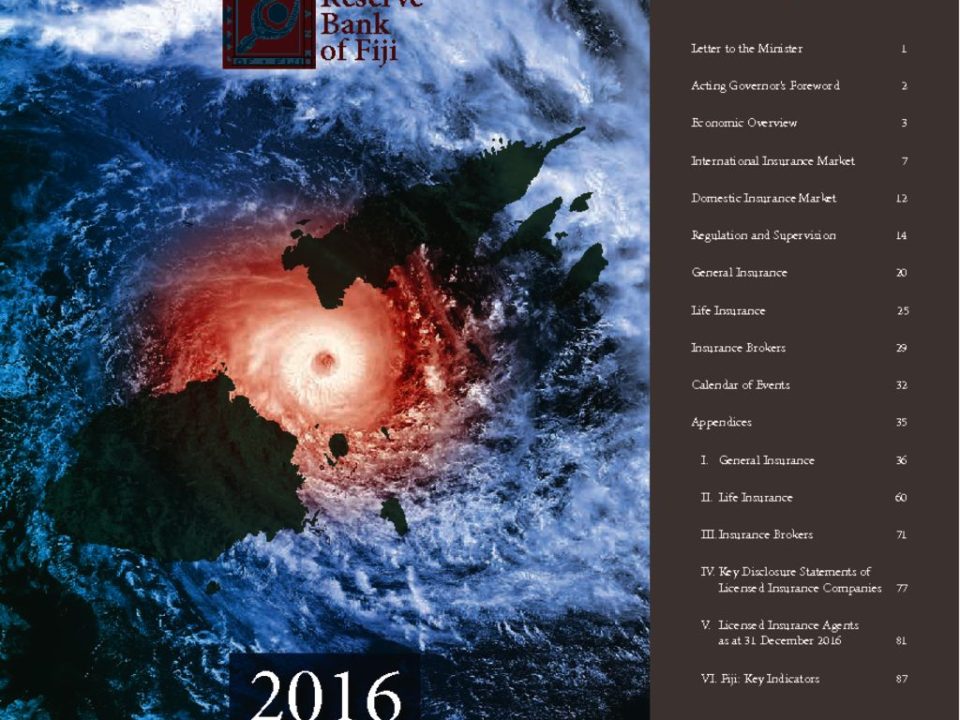thumbnail of RBF 2016 Insurance Annual Report