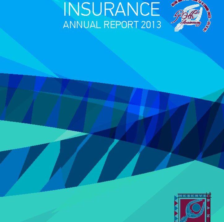 thumbnail of RBF-Insurance-AR-2013-compressed.pdf v2