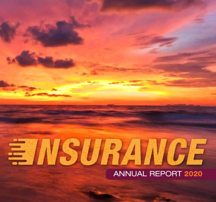 thumbnail of RBF Insurance Annual Report 2020